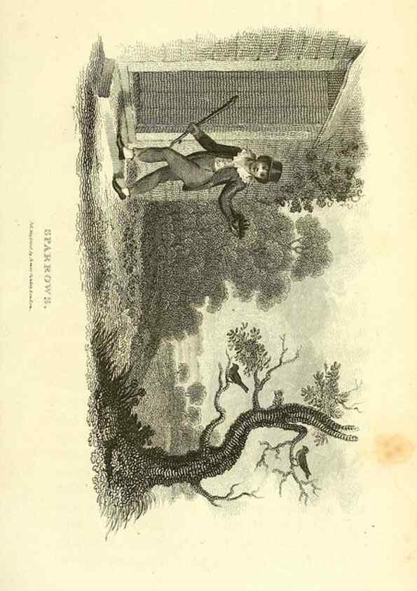 Reproducción/Reproduction 49830791236: General zoology, or Systematic natural history. London,Printed for G. Kearsley,1800-1826.. 