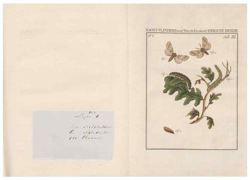 Reproducción/Reproduction 49816471778: Beschouwing der wonderen Gods, in de minstgeachte schepzelen :. Te Amsterdam :by J.C. Sepp,1762-1860.. 