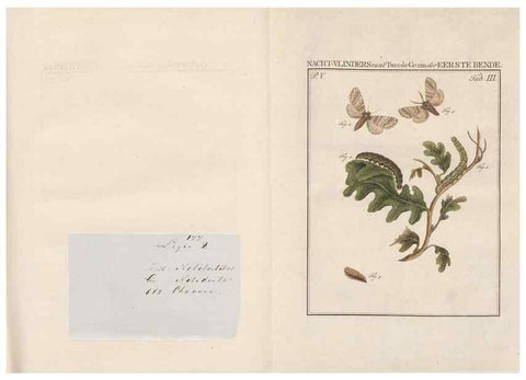 Reproducción/Reproduction 49816471778: Beschouwing der wonderen Gods, in de minstgeachte schepzelen :. Te Amsterdam :by J.C. Sepp,1762-1860.. 