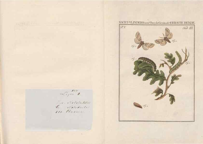 Reproducción/Reproduction 49816471778: Beschouwing der wonderen Gods, in de minstgeachte schepzelen :. Te Amsterdam :by J.C. Sepp,1762-1860.. 