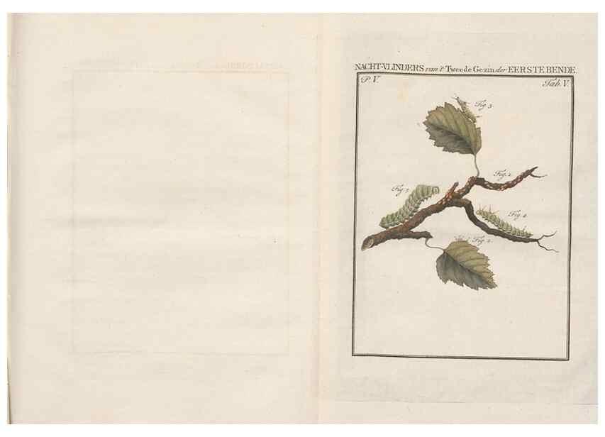 Reproducción/Reproduction 49817313287: Beschouwing der wonderen Gods, in de minstgeachte schepzelen :. Te Amsterdam :by J.C. Sepp,1762-1860.. 