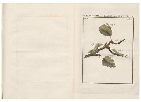 Reproducción/Reproduction 49817313287: Beschouwing der wonderen Gods, in de minstgeachte schepzelen :. Te Amsterdam :by J.C. Sepp,1762-1860.. 