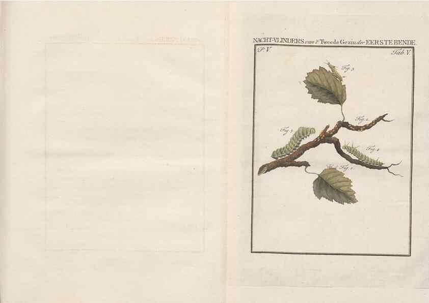 Reproducción/Reproduction 49817313287: Beschouwing der wonderen Gods, in de minstgeachte schepzelen :. Te Amsterdam :by J.C. Sepp,1762-1860.. 