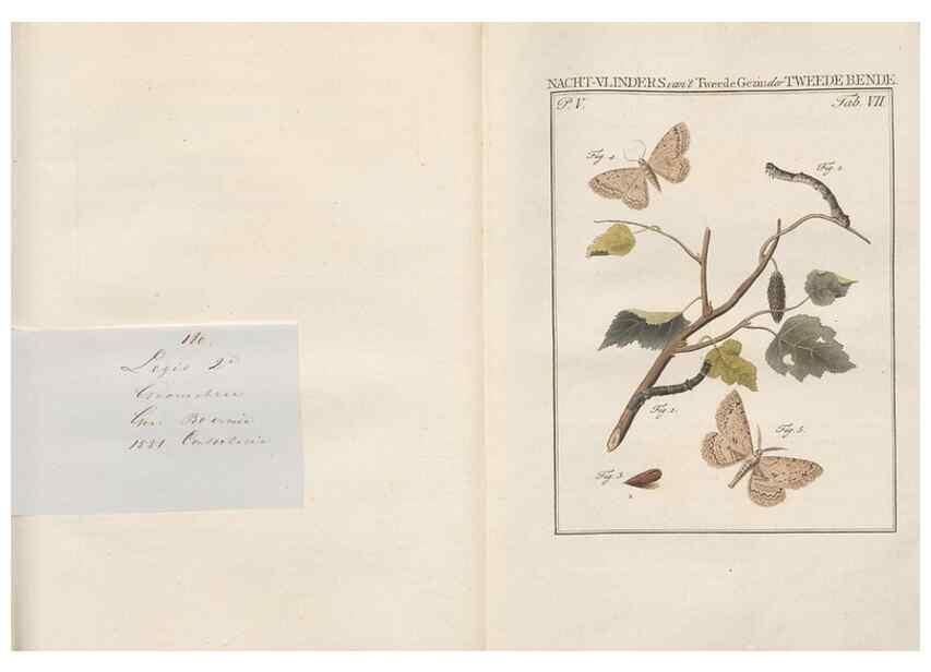 Reproducción/Reproduction 49816472618: Beschouwing der wonderen Gods, in de minstgeachte schepzelen :. Te Amsterdam :by J.C. Sepp,1762-1860.. 
