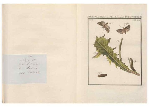 Reproducción/Reproduction 49817005956: Beschouwing der wonderen Gods, in de minstgeachte schepzelen :. Te Amsterdam :by J.C. Sepp,1762-1860.. 