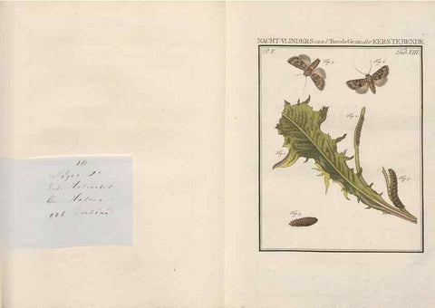 Reproducción/Reproduction 49817005956: Beschouwing der wonderen Gods, in de minstgeachte schepzelen :. Te Amsterdam :by J.C. Sepp,1762-1860.. 