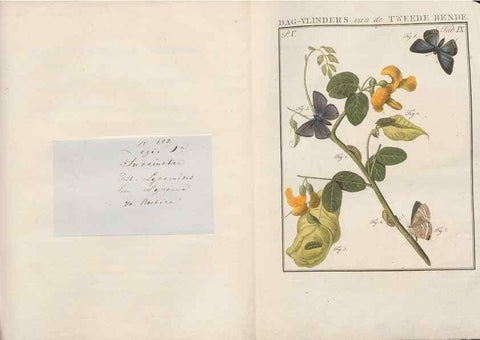 Reproducción/Reproduction 49817314012: Beschouwing der wonderen Gods, in de minstgeachte schepzelen :. Te Amsterdam :by J.C. Sepp,1762-1860.. 