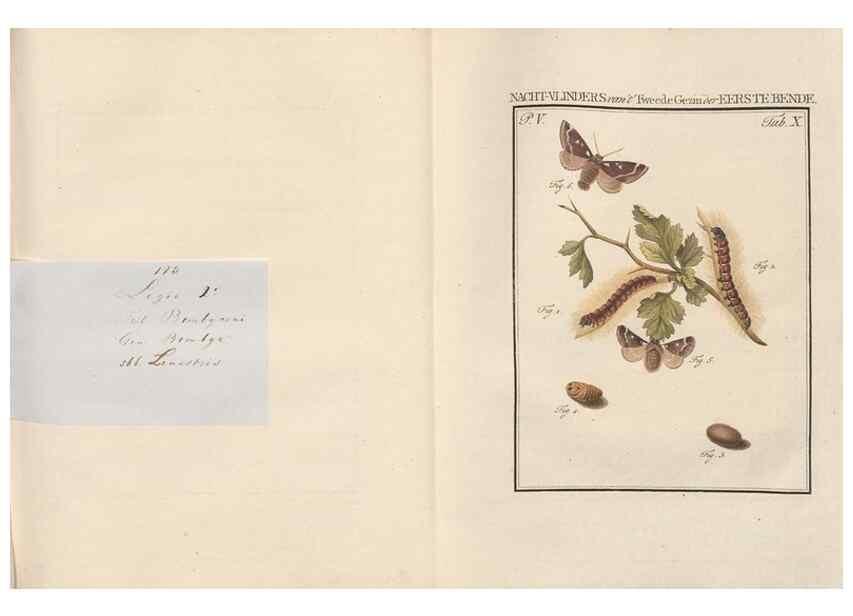 Reproducción/Reproduction 49817314167: Beschouwing der wonderen Gods, in de minstgeachte schepzelen :. Te Amsterdam :by J.C. Sepp,1762-1860.. 