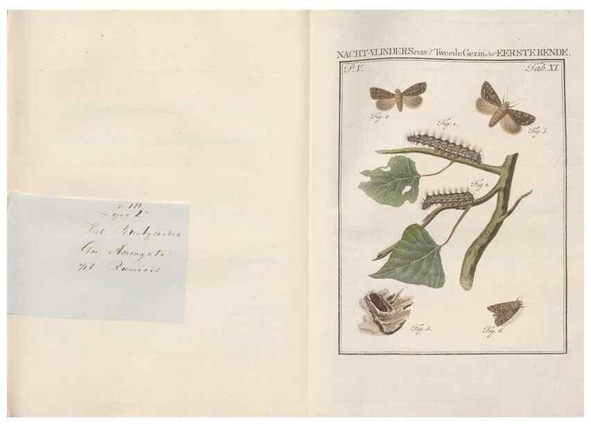 Reproducción/Reproduction 49816473303: Beschouwing der wonderen Gods, in de minstgeachte schepzelen :. Te Amsterdam :by J.C. Sepp,1762-1860.. 