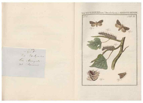 Reproducción/Reproduction 49816473303: Beschouwing der wonderen Gods, in de minstgeachte schepzelen :. Te Amsterdam :by J.C. Sepp,1762-1860.. 