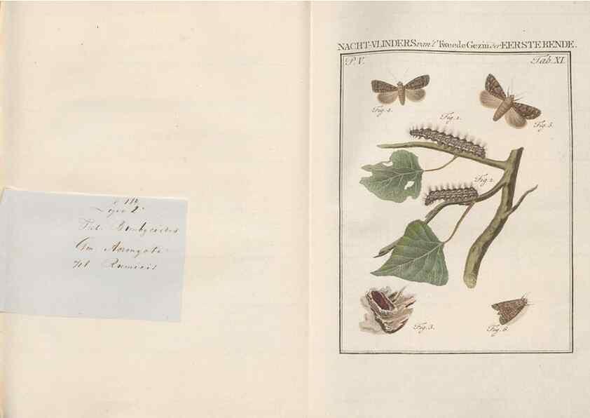 Reproducción/Reproduction 49816473303: Beschouwing der wonderen Gods, in de minstgeachte schepzelen :. Te Amsterdam :by J.C. Sepp,1762-1860.. 