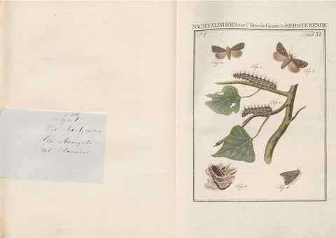 Reproducción/Reproduction 49816473303: Beschouwing der wonderen Gods, in de minstgeachte schepzelen :. Te Amsterdam :by J.C. Sepp,1762-1860.. 