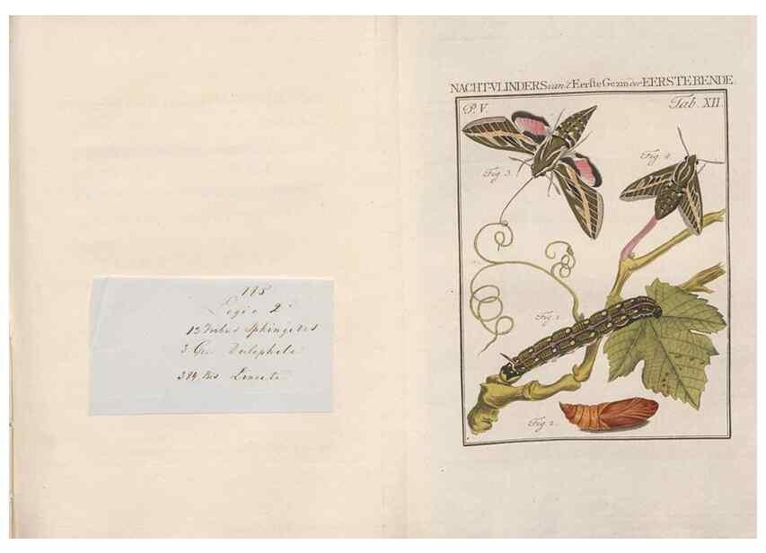 Reproducción/Reproduction 49817006631: Beschouwing der wonderen Gods, in de minstgeachte schepzelen :. Te Amsterdam :by J.C. Sepp,1762-1860.. 