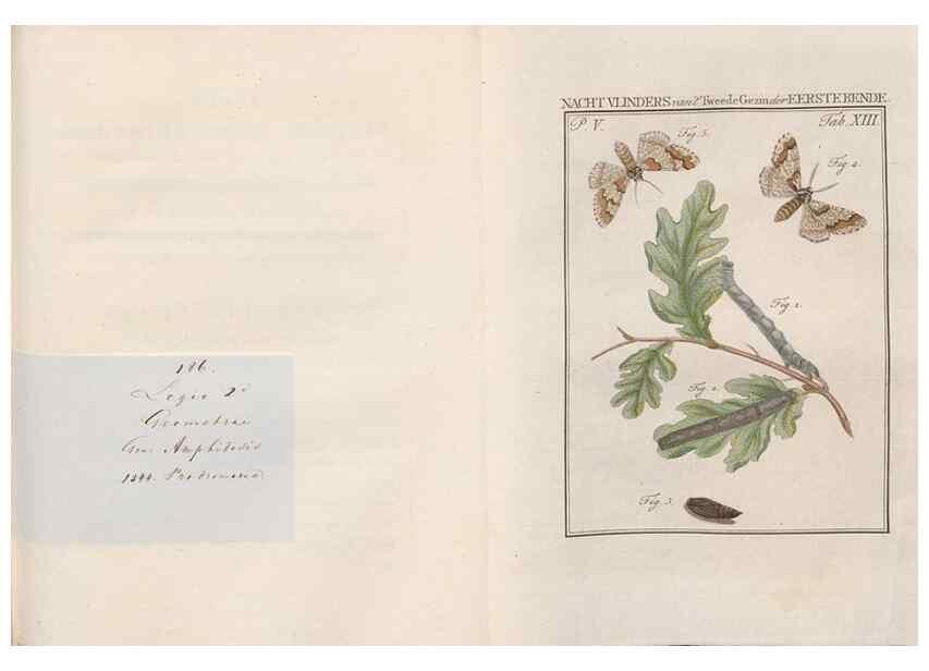 Reproducción/Reproduction 49817006826: Beschouwing der wonderen Gods, in de minstgeachte schepzelen :. Te Amsterdam :by J.C. Sepp,1762-1860.. 