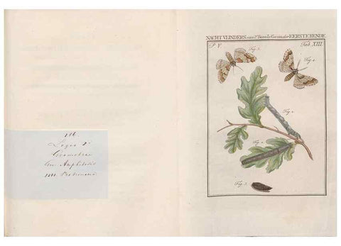 Reproducción/Reproduction 49817006826: Beschouwing der wonderen Gods, in de minstgeachte schepzelen :. Te Amsterdam :by J.C. Sepp,1762-1860.. 