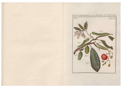 Reproducción/Reproduction 49816473913: Beschouwing der wonderen Gods, in de minstgeachte schepzelen :. Te Amsterdam :by J.C. Sepp,1762-1860.. 
