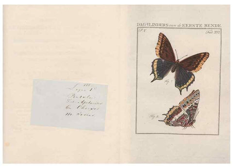 Reproducción/Reproduction 49817315242: Beschouwing der wonderen Gods, in de minstgeachte schepzelen :. Te Amsterdam :by J.C. Sepp,1762-1860.. 