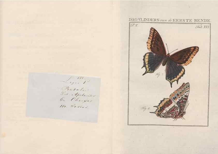 Reproducción/Reproduction 49817315242: Beschouwing der wonderen Gods, in de minstgeachte schepzelen :. Te Amsterdam :by J.C. Sepp,1762-1860.. 