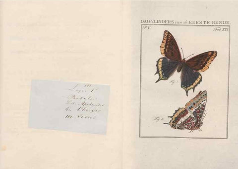 Reproducción/Reproduction 49817315242: Beschouwing der wonderen Gods, in de minstgeachte schepzelen :. Te Amsterdam :by J.C. Sepp,1762-1860.. 