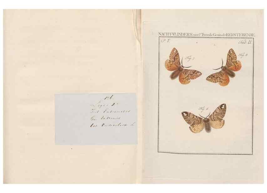 Reproducción/Reproduction 49816471573: Beschouwing der wonderen Gods, in de minstgeachte schepzelen :. Te Amsterdam :by J.C. Sepp,1762-1860.. 