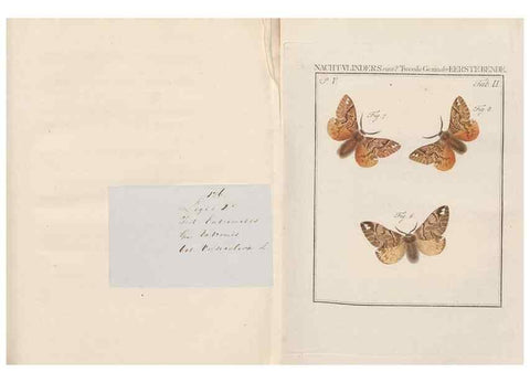 Reproducción/Reproduction 49816471573: Beschouwing der wonderen Gods, in de minstgeachte schepzelen :. Te Amsterdam :by J.C. Sepp,1762-1860.. 