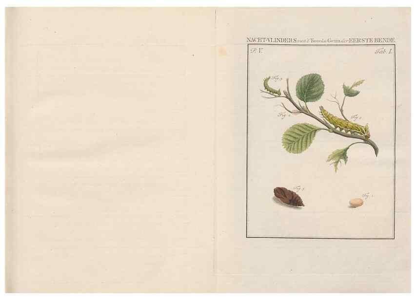 Reproducción/Reproduction 49817004351: Beschouwing der wonderen Gods, in de minstgeachte schepzelen :. Te Amsterdam :by J.C. Sepp,1762-1860.. 