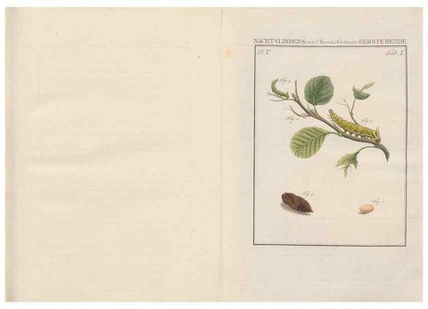 Reproducción/Reproduction 49817004351: Beschouwing der wonderen Gods, in de minstgeachte schepzelen :. Te Amsterdam :by J.C. Sepp,1762-1860.. 