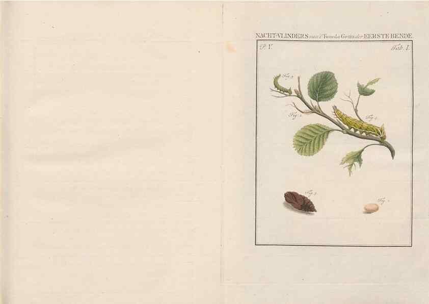 Reproducción/Reproduction 49817004351: Beschouwing der wonderen Gods, in de minstgeachte schepzelen :. Te Amsterdam :by J.C. Sepp,1762-1860.. 