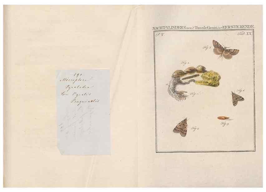 Reproducción/Reproduction 49817008131: Beschouwing der wonderen Gods, in de minstgeachte schepzelen :. Te Amsterdam :by J.C. Sepp,1762-1860.. 