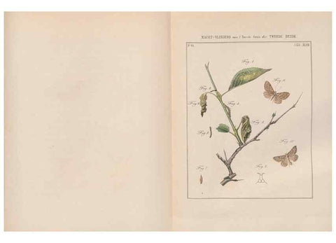 Reproducción/Reproduction 49817387072: Beschouwing der wonderen Gods, in de minstgeachte schepzelen :. Te Amsterdam :by J.C. Sepp,1762-1860.. 