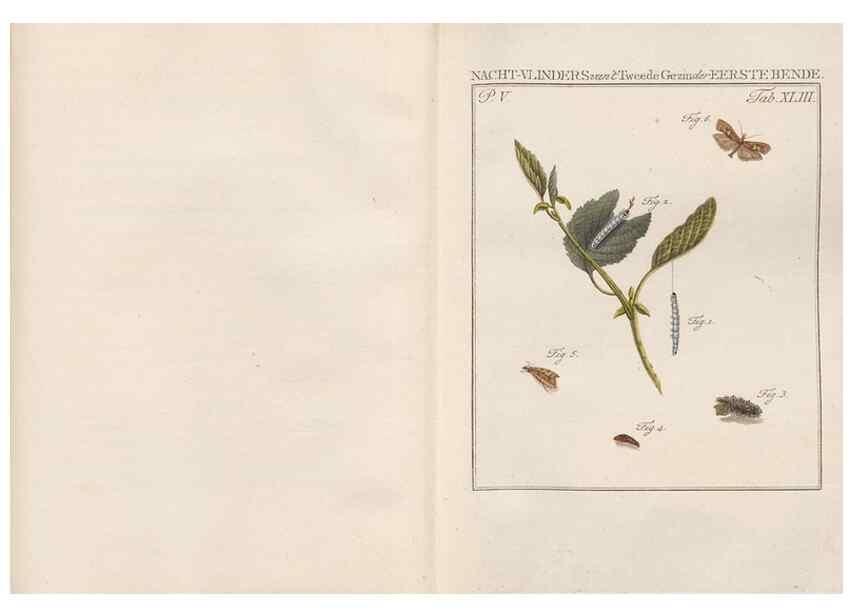 Reproducción/Reproduction 49816478983: Beschouwing der wonderen Gods, in de minstgeachte schepzelen :. Te Amsterdam :by J.C. Sepp,1762-1860.. 