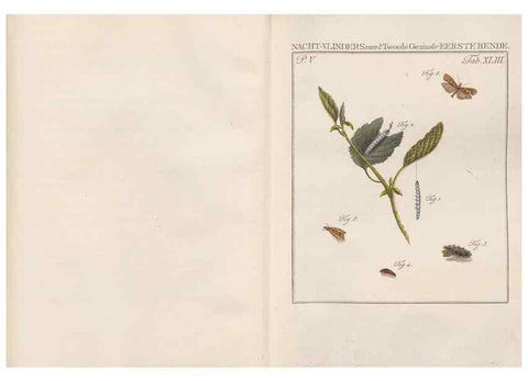 Reproducción/Reproduction 49816478983: Beschouwing der wonderen Gods, in de minstgeachte schepzelen :. Te Amsterdam :by J.C. Sepp,1762-1860.. 