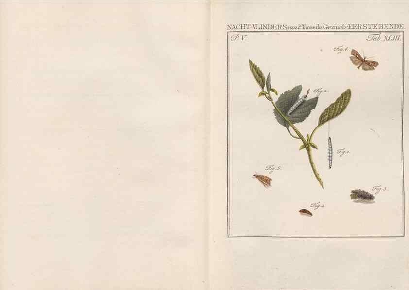 Reproducción/Reproduction 49816478983: Beschouwing der wonderen Gods, in de minstgeachte schepzelen :. Te Amsterdam :by J.C. Sepp,1762-1860.. 