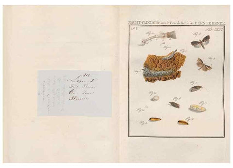 Reproducción/Reproduction 49817320812: Beschouwing der wonderen Gods, in de minstgeachte schepzelen :. Te Amsterdam :by J.C. Sepp,1762-1860.. 