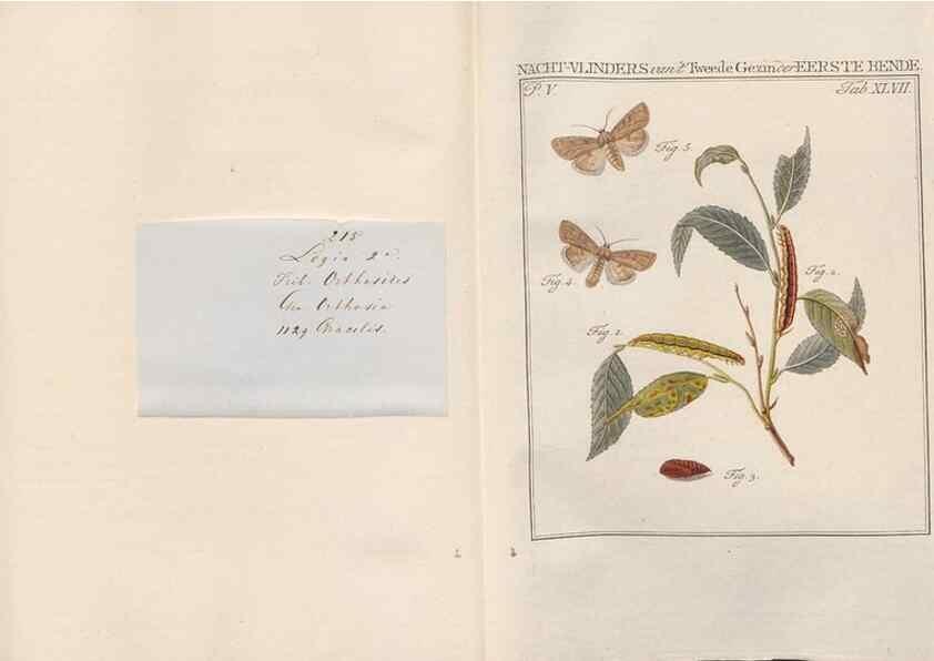Reproducción/Reproduction 49816479843: Beschouwing der wonderen Gods, in de minstgeachte schepzelen :. Te Amsterdam :by J.C. Sepp,1762-1860.. 