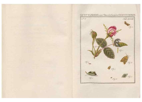 Reproducción/Reproduction 49817013306: Beschouwing der wonderen Gods, in de minstgeachte schepzelen :. Te Amsterdam :by J.C. Sepp,1762-1860.. 