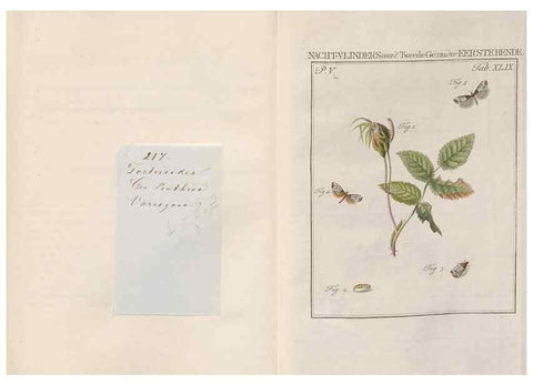 Reproducción/Reproduction 49817013486: Beschouwing der wonderen Gods, in de minstgeachte schepzelen :. Te Amsterdam :by J.C. Sepp,1762-1860.. 