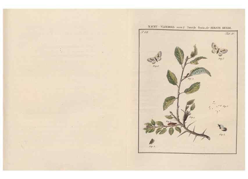 Reproducción/Reproduction 49816536903: Beschouwing der wonderen Gods, in de minstgeachte schepzelen :. Te Amsterdam :by J.C. Sepp,1762-1860.. 