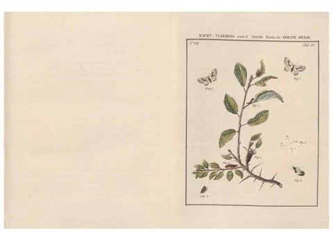 Reproducción/Reproduction 49816536903: Beschouwing der wonderen Gods, in de minstgeachte schepzelen :. Te Amsterdam :by J.C. Sepp,1762-1860.. 