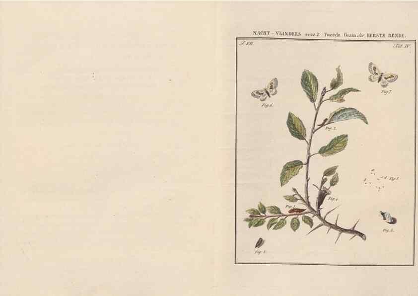 Reproducción/Reproduction 49816536903: Beschouwing der wonderen Gods, in de minstgeachte schepzelen :. Te Amsterdam :by J.C. Sepp,1762-1860.. 