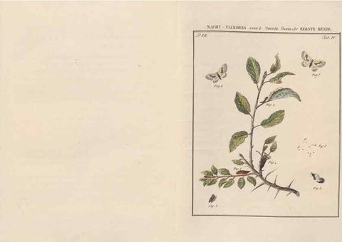 Reproducción/Reproduction 49816536903: Beschouwing der wonderen Gods, in de minstgeachte schepzelen :. Te Amsterdam :by J.C. Sepp,1762-1860.. 