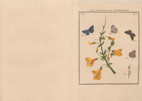 Reproducción/Reproduction 49816537123: Beschouwing der wonderen Gods, in de minstgeachte schepzelen :. Te Amsterdam :by J.C. Sepp,1762-1860.. 