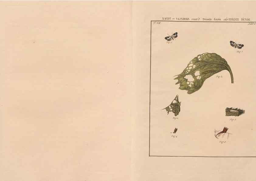 Reproducción/Reproduction 49817070676: Beschouwing der wonderen Gods, in de minstgeachte schepzelen :. Te Amsterdam :by J.C. Sepp,1762-1860.. 