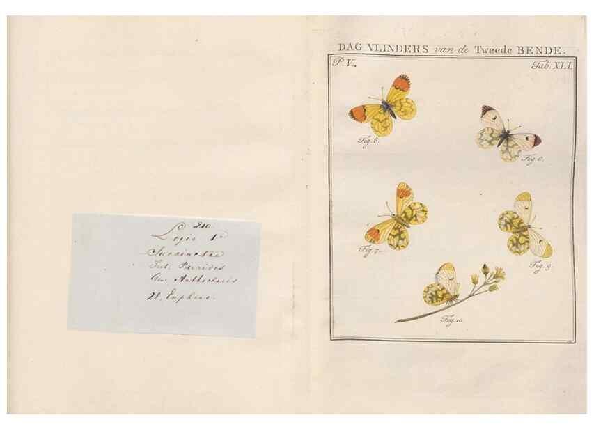 Reproducción/Reproduction 49817012021: Beschouwing der wonderen Gods, in de minstgeachte schepzelen :. Te Amsterdam :by J.C. Sepp,1762-1860.. 