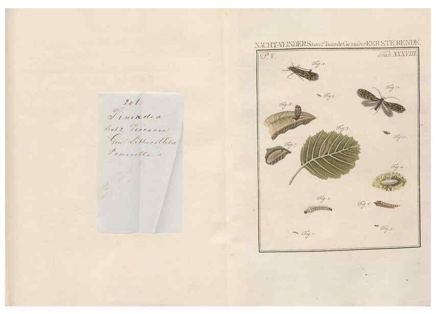 Reproducción/Reproduction 49817011446: Beschouwing der wonderen Gods, in de minstgeachte schepzelen :. Te Amsterdam :by J.C. Sepp,1762-1860.. 