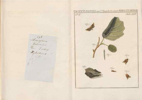 Reproducción/Reproduction 49816475438: Beschouwing der wonderen Gods, in de minstgeachte schepzelen :. Te Amsterdam :by J.C. Sepp,1762-1860.. 