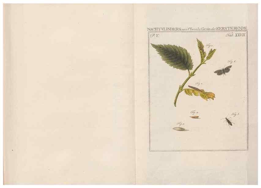 Reproducción/Reproduction 49817317042: Beschouwing der wonderen Gods, in de minstgeachte schepzelen :. Te Amsterdam :by J.C. Sepp,1762-1860.. 