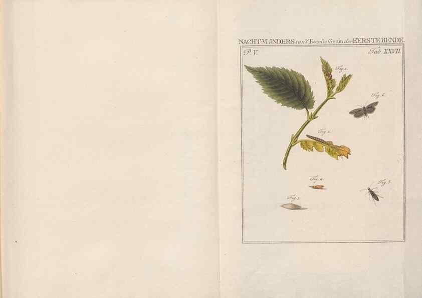 Reproducción/Reproduction 49817317042: Beschouwing der wonderen Gods, in de minstgeachte schepzelen :. Te Amsterdam :by J.C. Sepp,1762-1860.. 