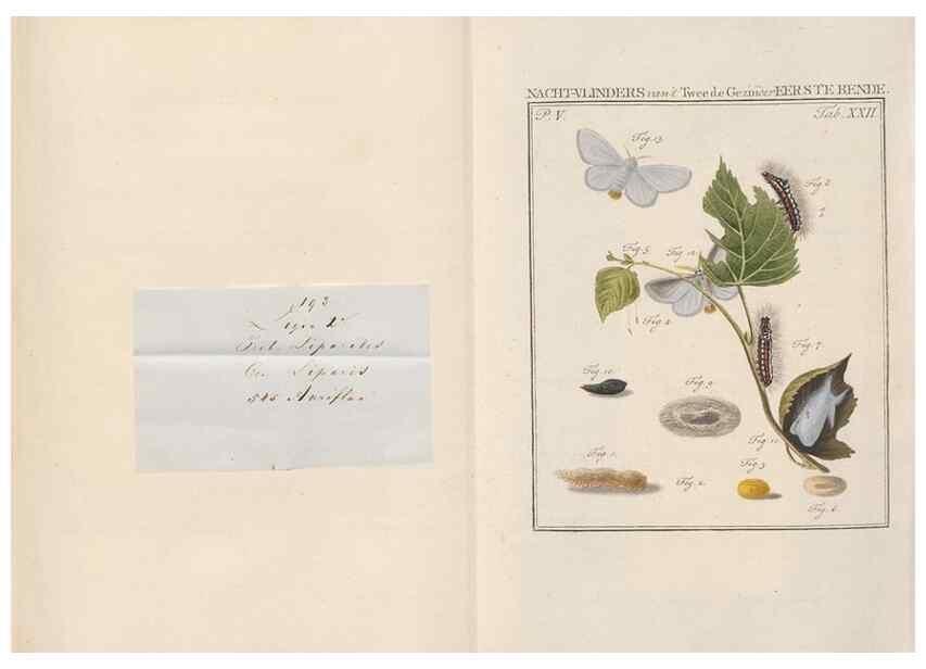 Reproducción/Reproduction 49816475963: Beschouwing der wonderen Gods, in de minstgeachte schepzelen :. Te Amsterdam :by J.C. Sepp,1762-1860.. 