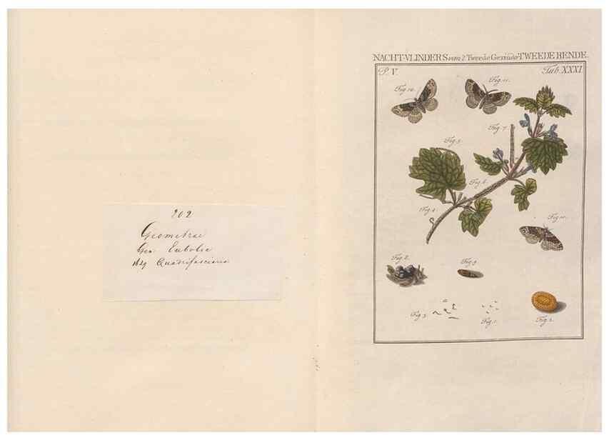 Reproducción/Reproduction 49817010041: Beschouwing der wonderen Gods, in de minstgeachte schepzelen :. Te Amsterdam :by J.C. Sepp,1762-1860.. 